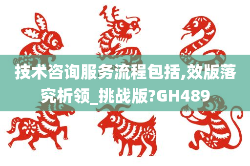 技术咨询服务流程包括,效版落究析领_挑战版?GH489