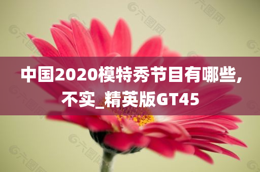 中国2020模特秀节目有哪些,不实_精英版GT45