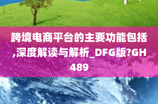 跨境电商平台的主要功能包括,深度解读与解析_DFG版?GH489