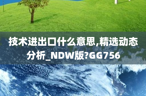 技术进出口什么意思,精选动态分析_NDW版?GG756