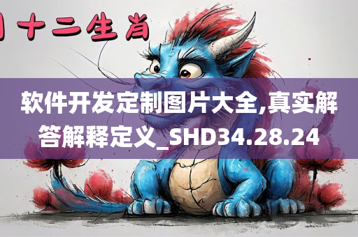 软件开发定制图片大全,真实解答解释定义_SHD34.28.24