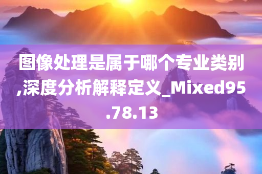 图像处理是属于哪个专业类别,深度分析解释定义_Mixed95.78.13