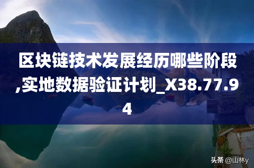 区块链技术发展经历哪些阶段,实地数据验证计划_X38.77.94