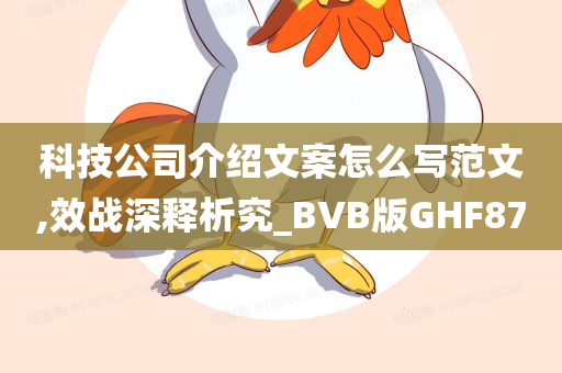 科技公司介绍文案怎么写范文,效战深释析究_BVB版GHF87