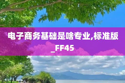 电子商务基础是啥专业,标准版_FF45