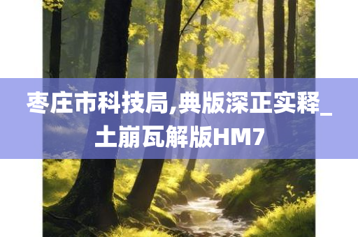 枣庄市科技局,典版深正实释_土崩瓦解版HM7