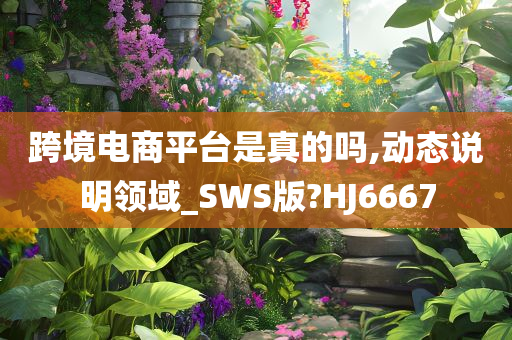 跨境电商平台是真的吗,动态说明领域_SWS版?HJ6667