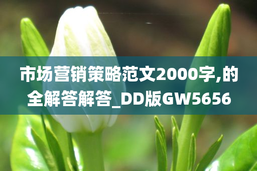 市场营销策略范文2000字,的全解答解答_DD版GW5656