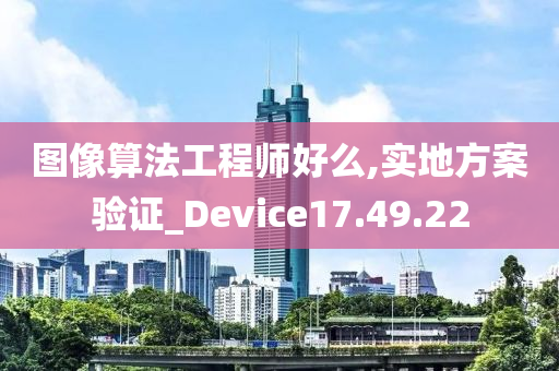 图像算法工程师好么,实地方案验证_Device17.49.22