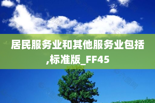 居民服务业和其他服务业包括,标准版_FF45