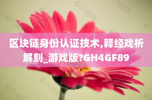 区块链身份认证技术,释经戏析解刻_游戏版?GH4GF89