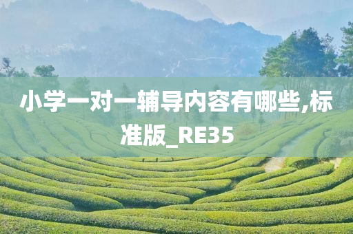 小学一对一辅导内容有哪些,标准版_RE35