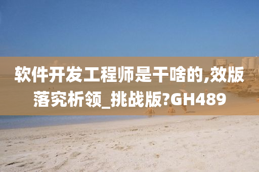 软件开发工程师是干啥的,效版落究析领_挑战版?GH489