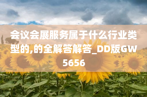 会议会展服务属于什么行业类型的,的全解答解答_DD版GW5656