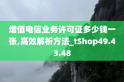 增值电信业务许可证多少钱一张,高效解析方法_tShop49.43.48