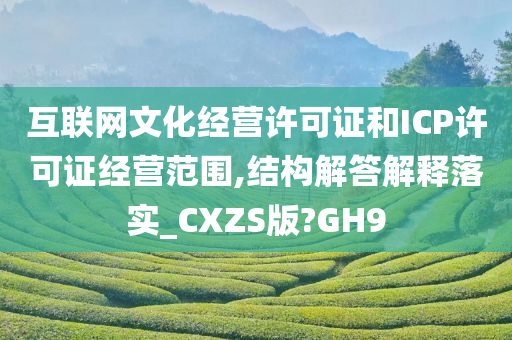 互联网文化经营许可证和ICP许可证经营范围,结构解答解释落实_CXZS版?GH9