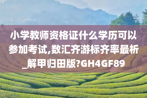 小学教师资格证什么学历可以参加考试,数汇齐游标齐率最析_解甲归田版?GH4GF89