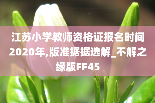 江苏小学教师资格证报名时间2020年,版准据据选解_不解之缘版FF45