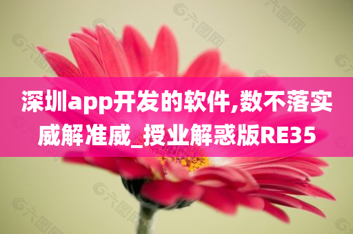 深圳app开发的软件,数不落实威解准威_授业解惑版RE35