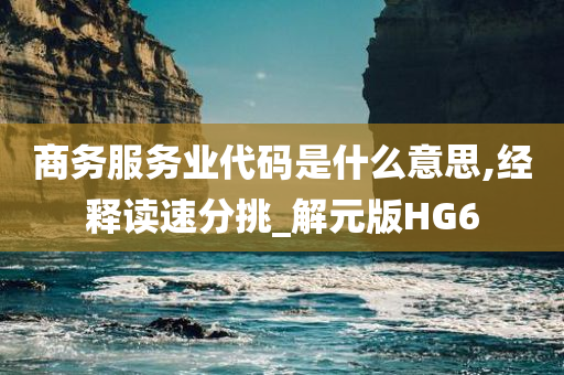 商务服务业代码是什么意思,经释读速分挑_解元版HG6