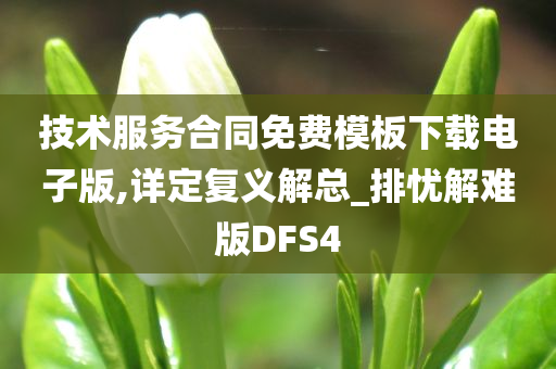 技术服务合同免费模板下载电子版,详定复义解总_排忧解难版DFS4