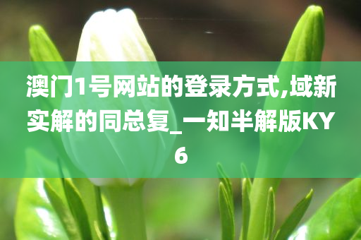 澳门1号网站的登录方式,域新实解的同总复_一知半解版KY6