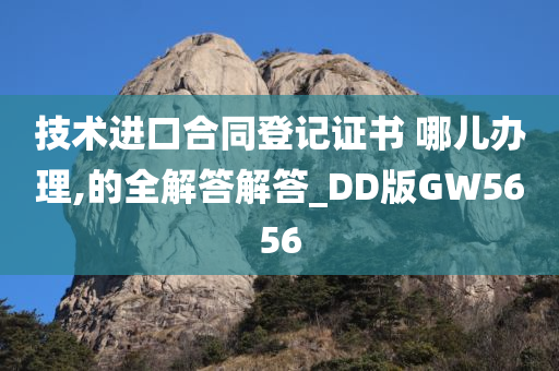 技术进口合同登记证书 哪儿办理,的全解答解答_DD版GW5656