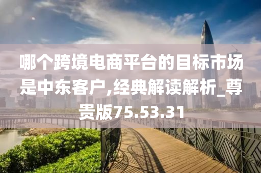 哪个跨境电商平台的目标市场是中东客户,经典解读解析_尊贵版75.53.31