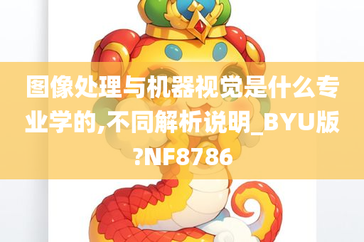 图像处理与机器视觉是什么专业学的,不同解析说明_BYU版?NF8786