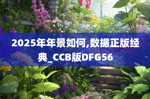 2025年年景如何,数据正版经典_CCB版DFG56