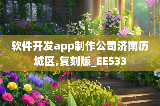 软件开发app制作公司济南历城区,复刻版_EE533