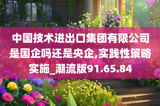 中国技术进出口集团有限公司是国企吗还是央企,实践性策略实施_潮流版91.65.84