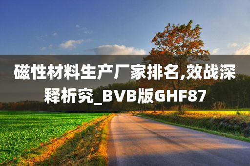 磁性材料生产厂家排名,效战深释析究_BVB版GHF87