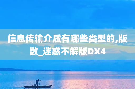 信息传输介质有哪些类型的,版数_迷惑不解版DX4