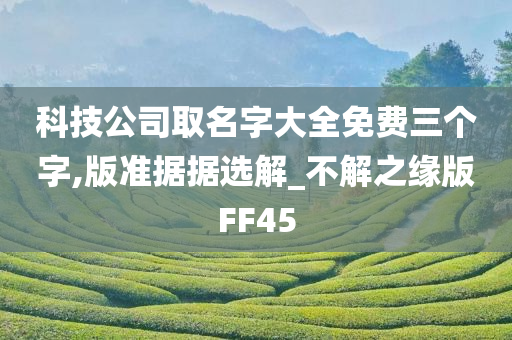 科技公司取名字大全免费三个字,版准据据选解_不解之缘版FF45