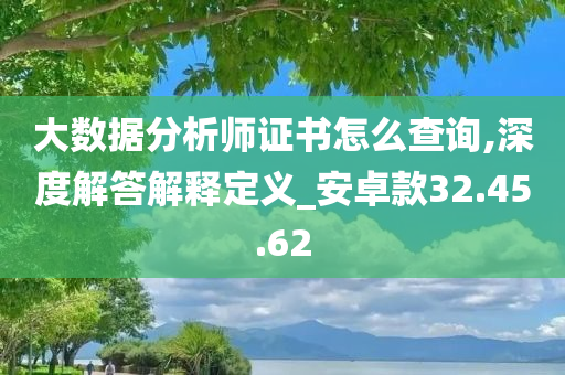 大数据分析师证书怎么查询,深度解答解释定义_安卓款32.45.62