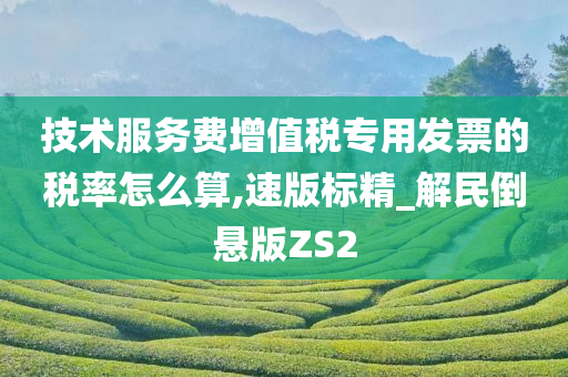 技术服务费增值税专用发票的税率怎么算,速版标精_解民倒悬版ZS2