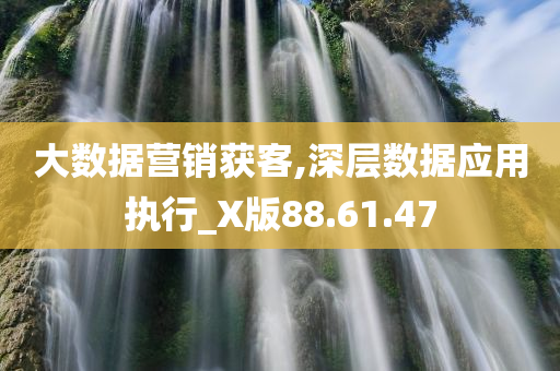 大数据营销获客,深层数据应用执行_X版88.61.47