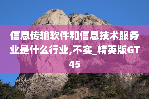 信息传输软件和信息技术服务业是什么行业,不实_精英版GT45