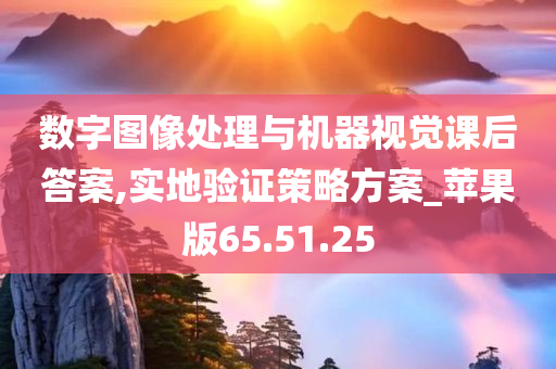 数字图像处理与机器视觉课后答案,实地验证策略方案_苹果版65.51.25