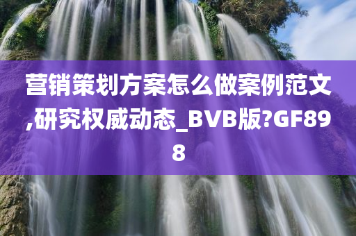 营销策划方案怎么做案例范文,研究权威动态_BVB版?GF898