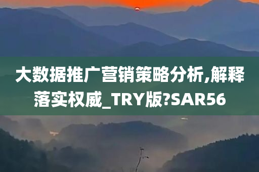 大数据推广营销策略分析,解释落实权威_TRY版?SAR56