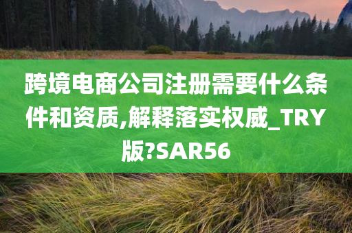 跨境电商公司注册需要什么条件和资质,解释落实权威_TRY版?SAR56