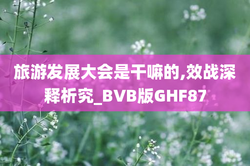 旅游发展大会是干嘛的,效战深释析究_BVB版GHF87