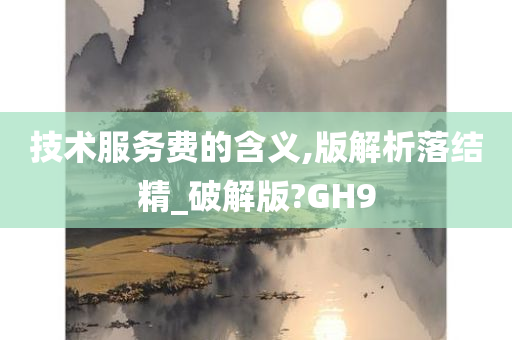 技术服务费的含义,版解析落结精_破解版?GH9