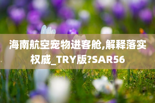 海南航空宠物进客舱,解释落实权威_TRY版?SAR56