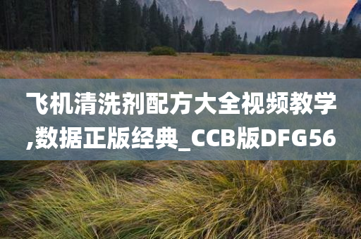 飞机清洗剂配方大全视频教学,数据正版经典_CCB版DFG56