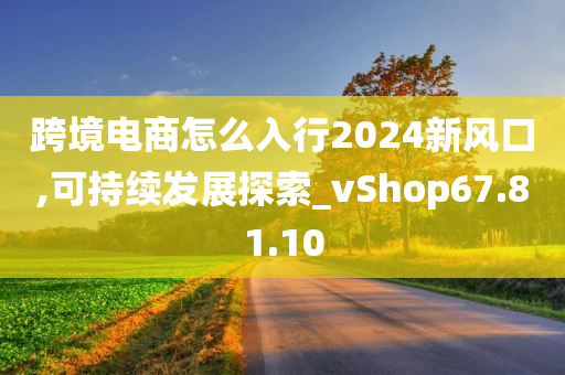 跨境电商怎么入行2024新风口,可持续发展探索_vShop67.81.10