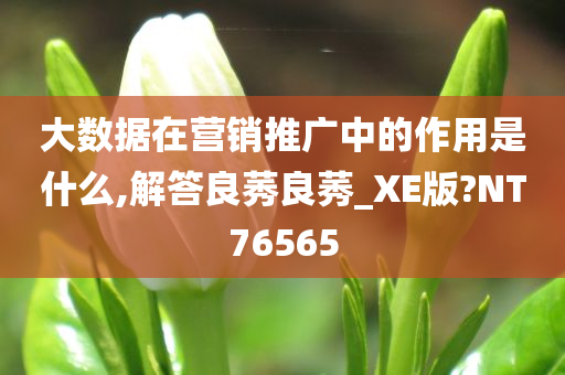 大数据在营销推广中的作用是什么,解答良莠良莠_XE版?NT76565