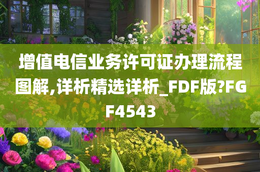 增值电信业务许可证办理流程图解,详析精选详析_FDF版?FGF4543